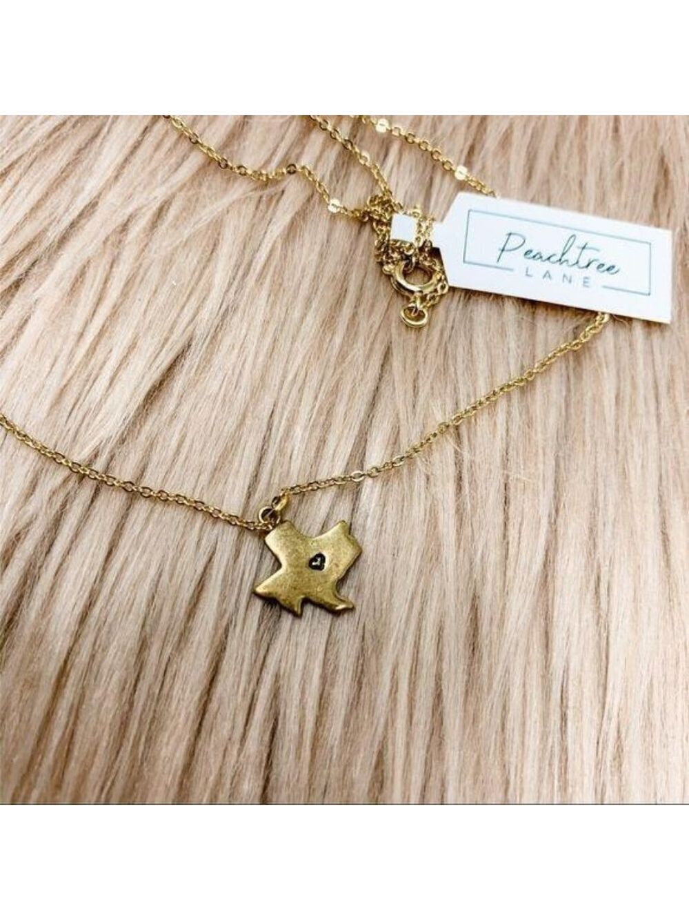 Texas State Shape Brass Necklace